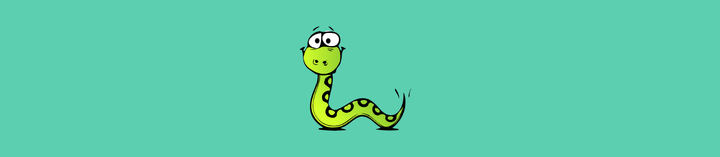 Snake